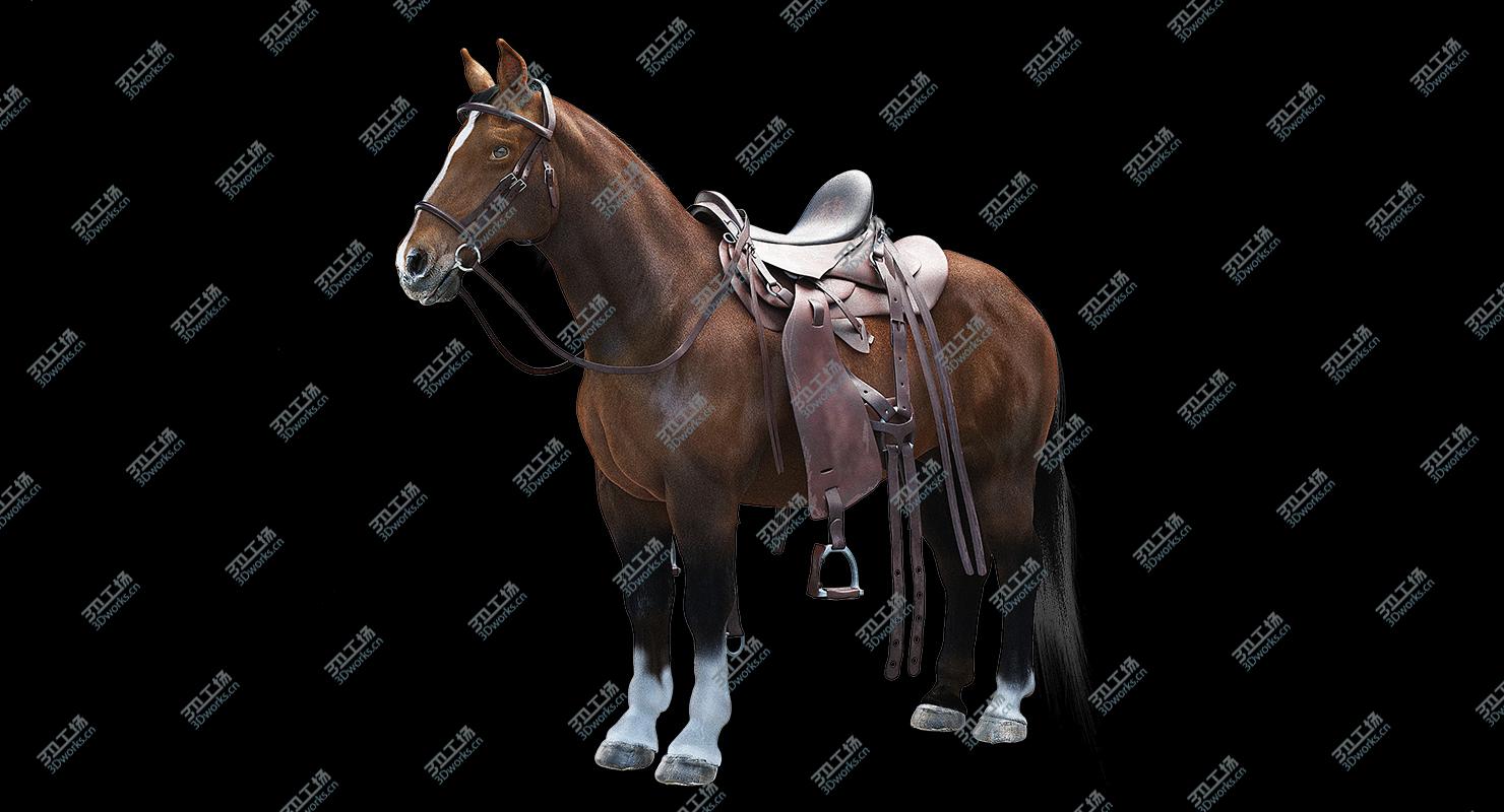 images/goods_img/2021040233/Horse with Saddle/1.jpg